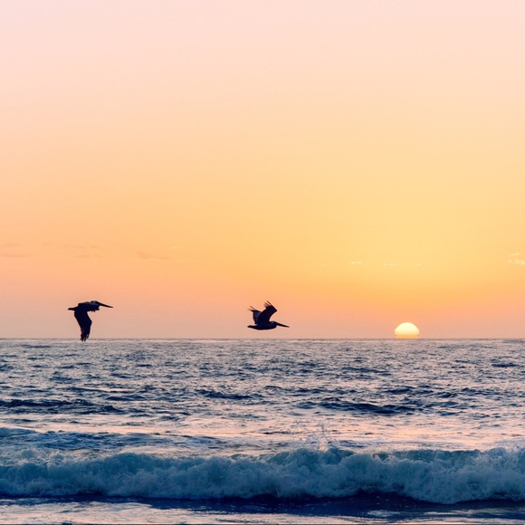 Meet your Posher, Victoria - Picture 7 of 8